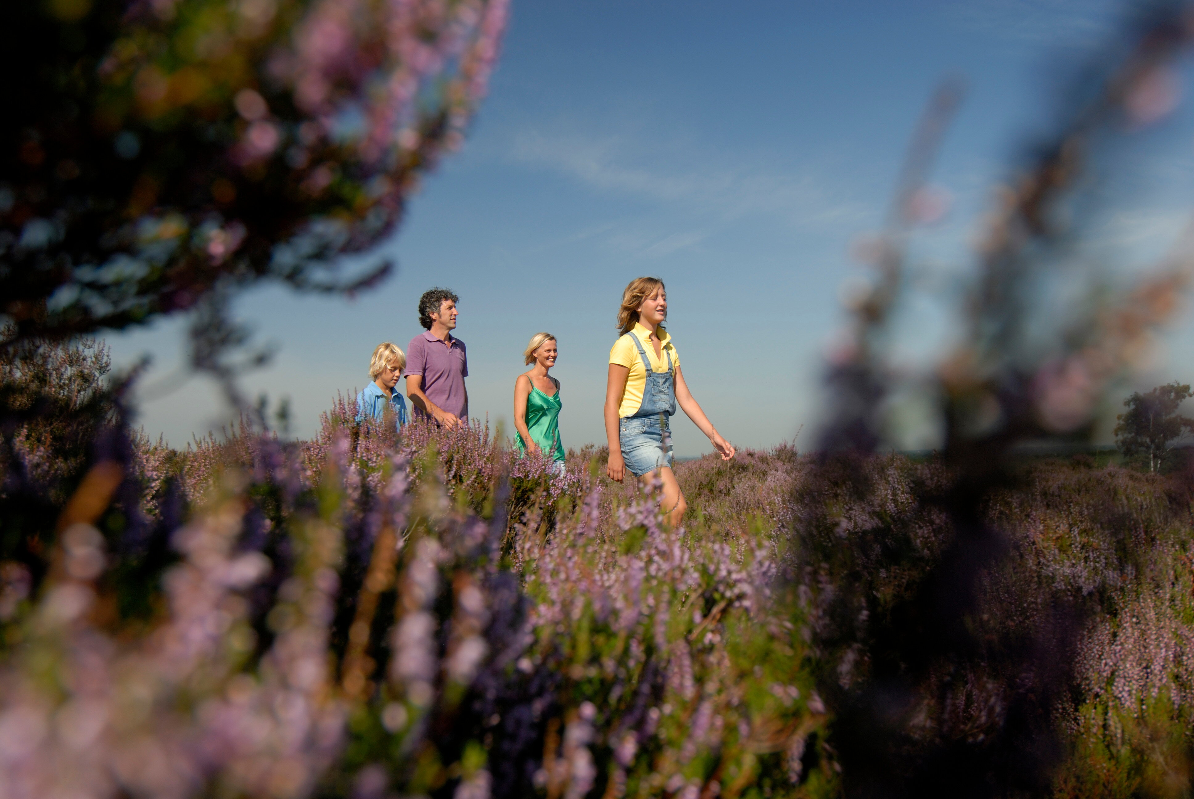 Tekst over tweedehuiskopen homepage